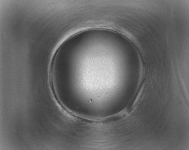 X0000054421520200508121738