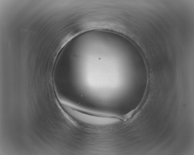 X0000054421521200508121738