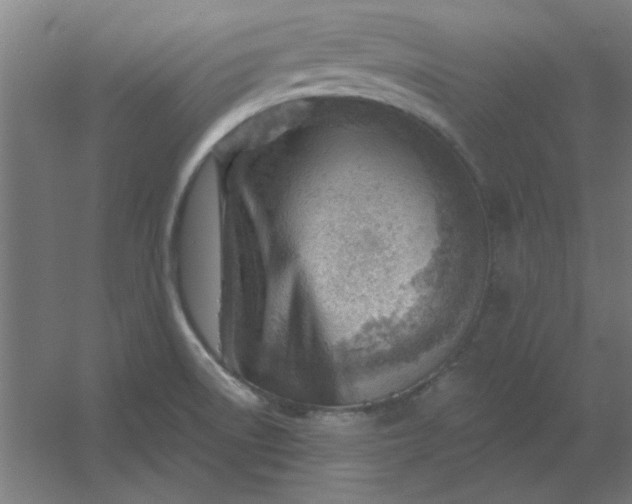 X0000054421522200508121738