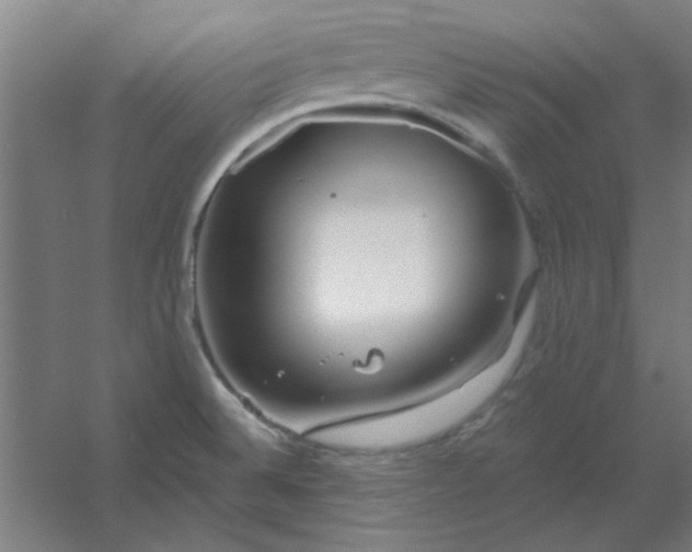 X0000054421524200508121738