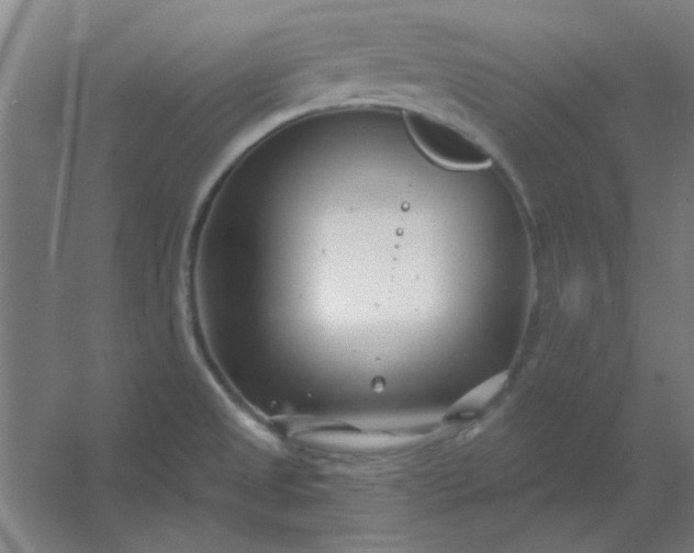 X0000054421525200508121738