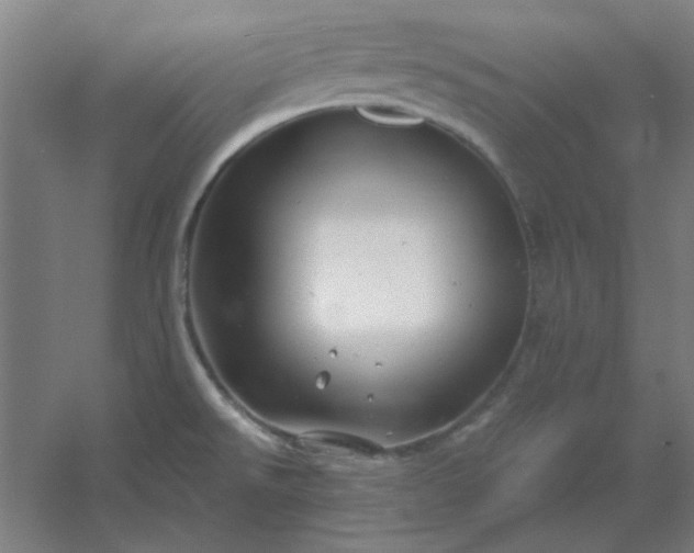 X0000054421526200508121738