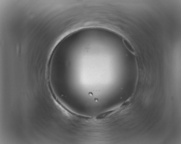 X0000054421527200508121738