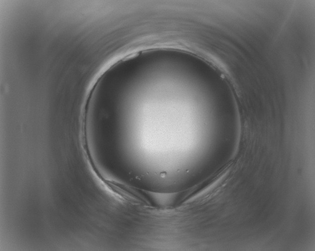 X0000054421528200508121738