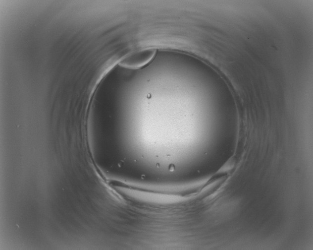 X0000054421529200508121738