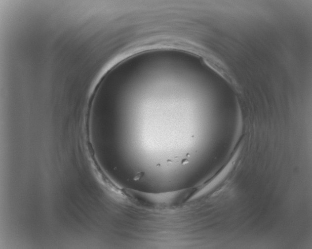 X0000054421530200508121738