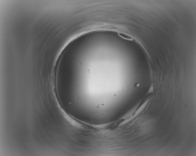 X0000054421531200508121738