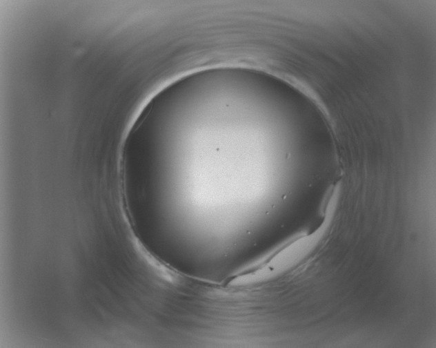 X0000054421532200508121738