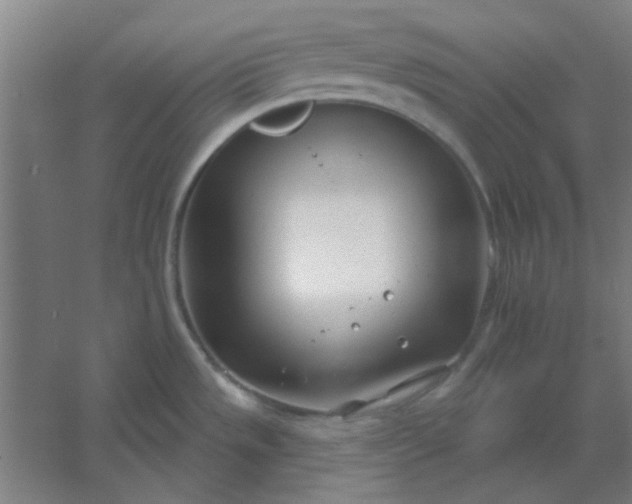 X0000054421533200508121738