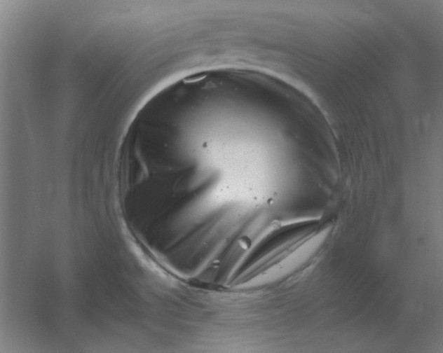 X0000054421534200508121738