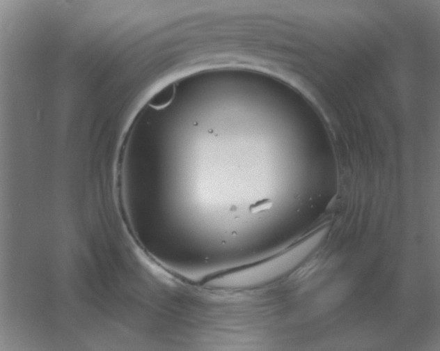 X0000054421535200508121738