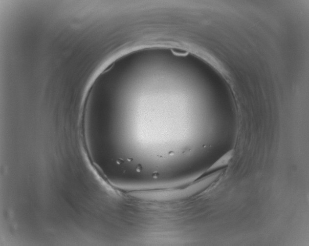 X0000054421536200508121738