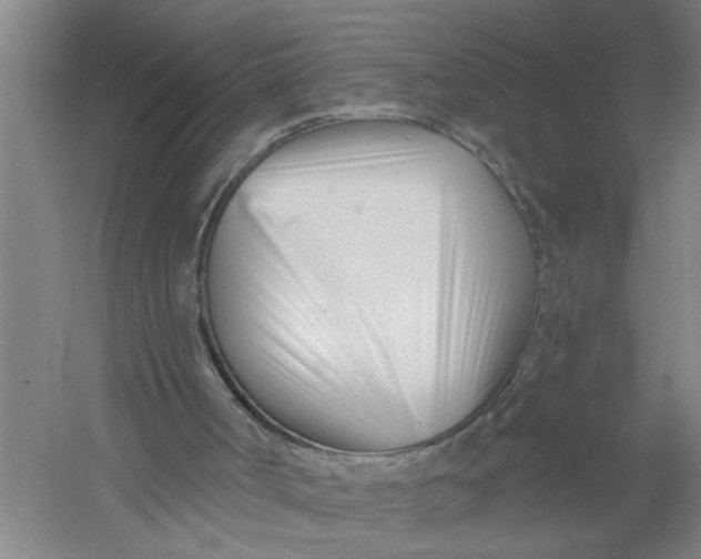 X0000054420002200508192109