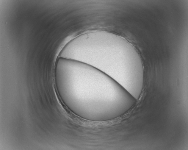 X0000054420003200508192109