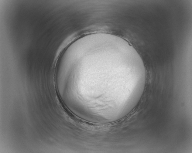 X0000054420004200508192109