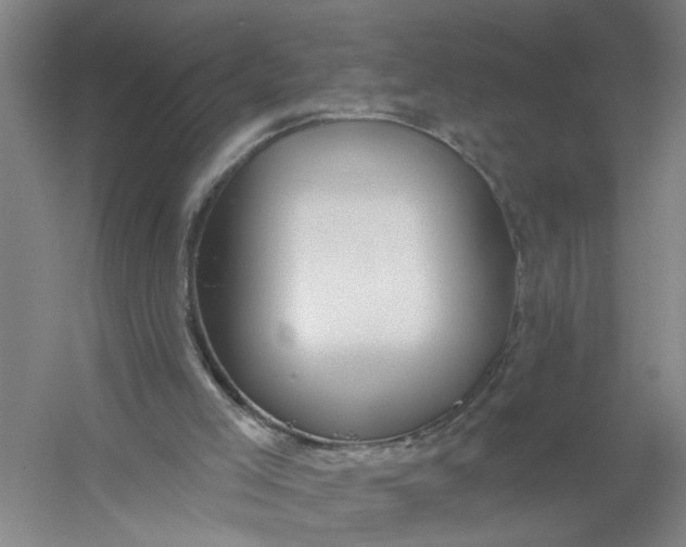X0000054420005200508192109
