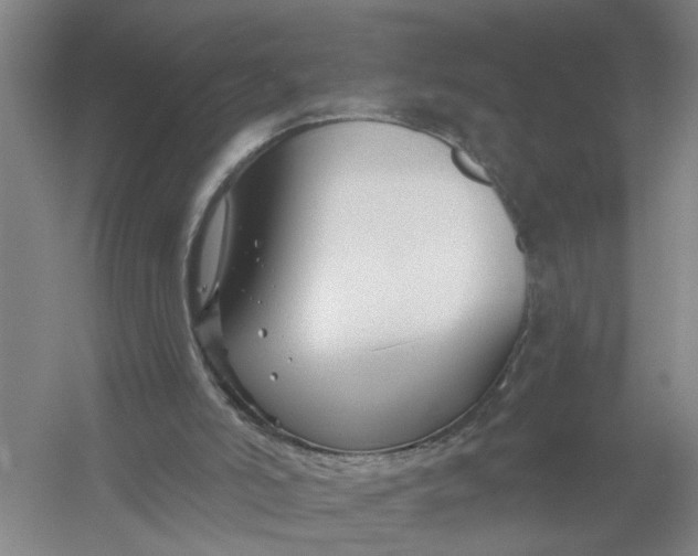 X0000054420006200508192109
