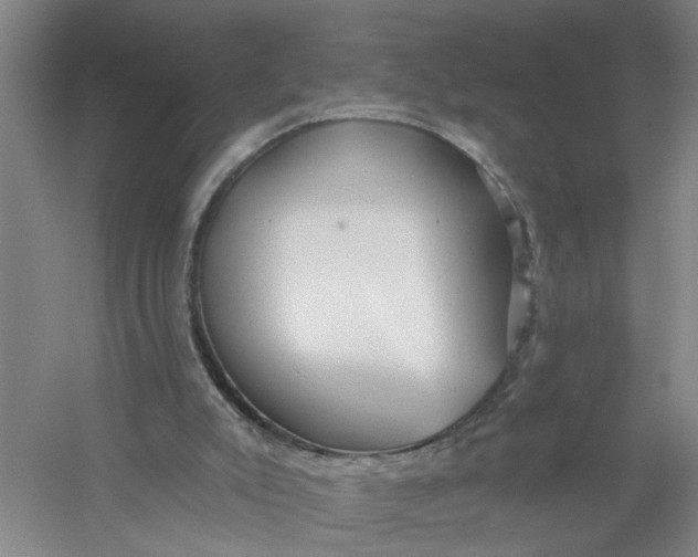 X0000054420007200508192109