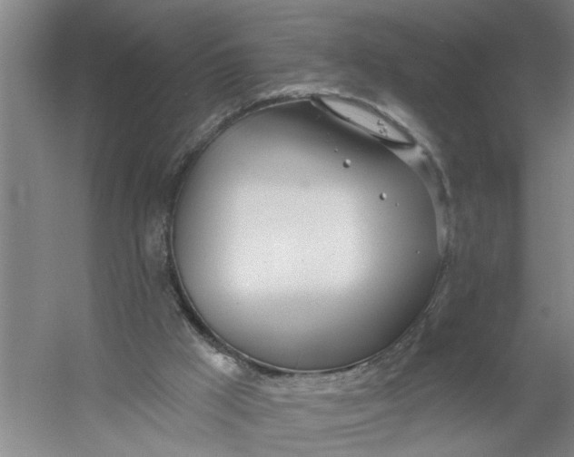 X0000054420009200508192109