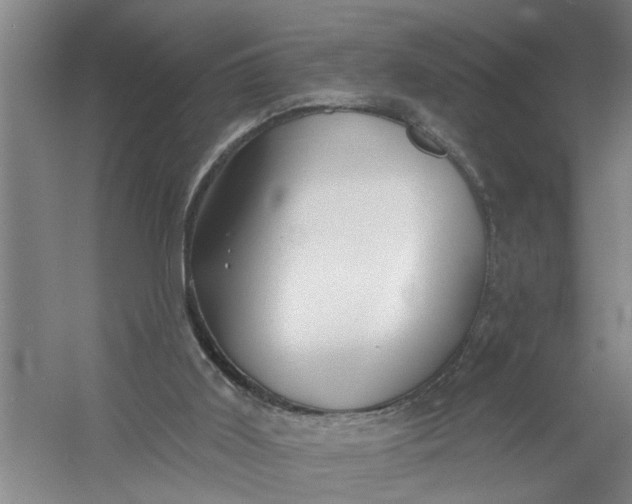 X0000054420011200508192109