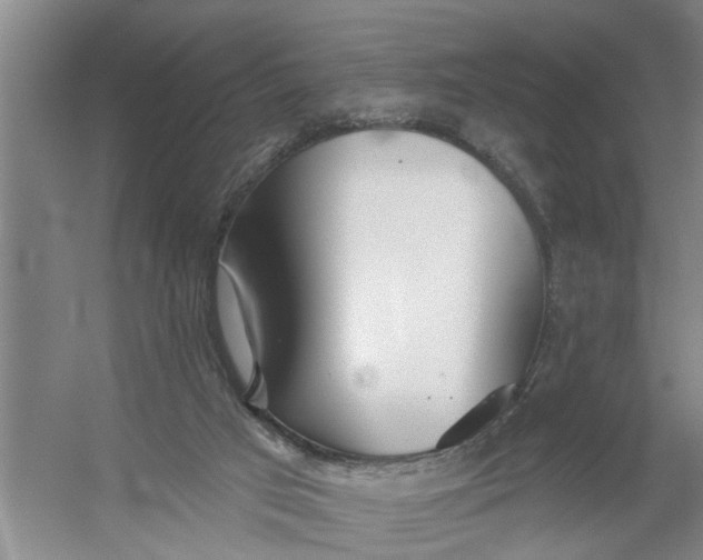 X0000054420017200508192109