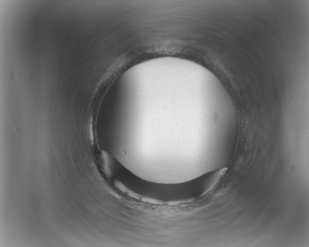X0000054420020200508192109