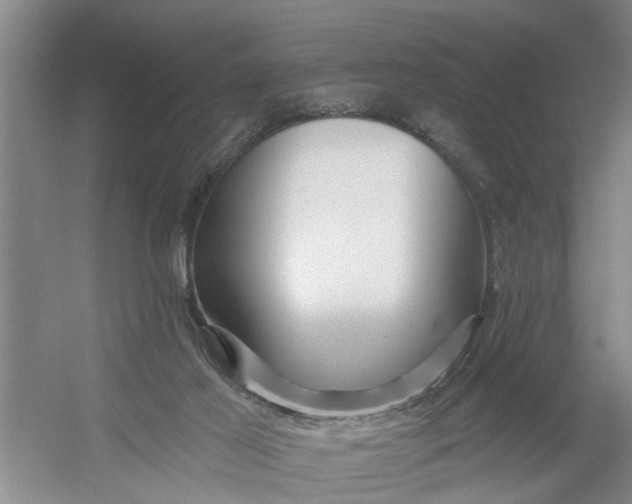 X0000054420021200508192109
