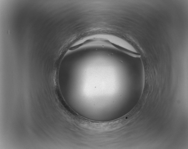 X0000054420023200508192109