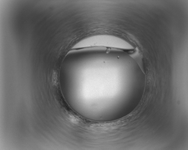 X0000054420025200508192109