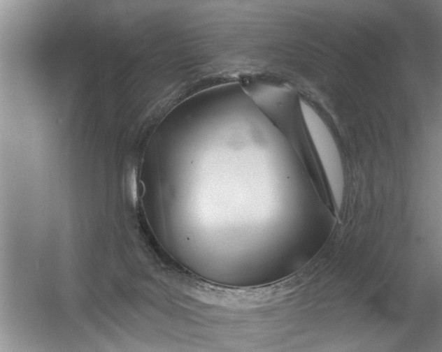 X0000054420027200508192109