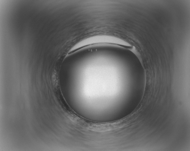 X0000054420029200508192109