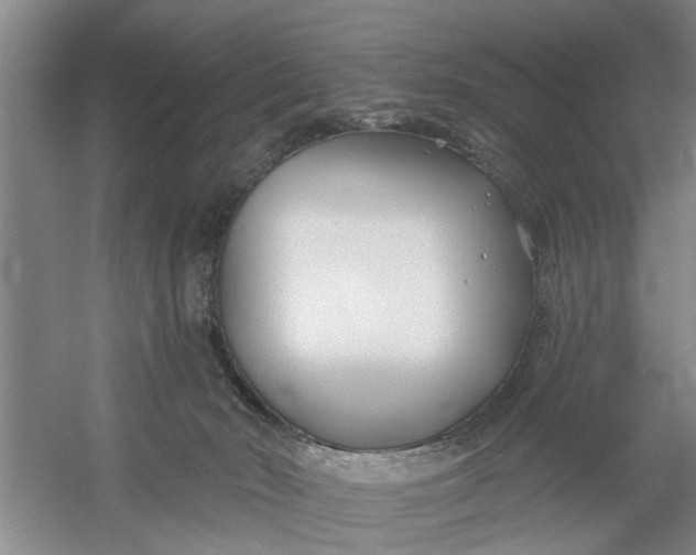X0000054420030200508192109