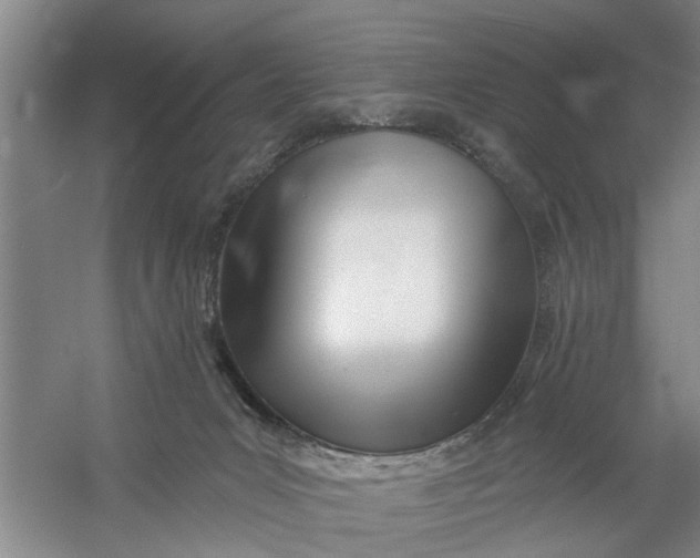 X0000054420031200508192109