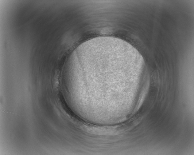 X0000054420032200508192109