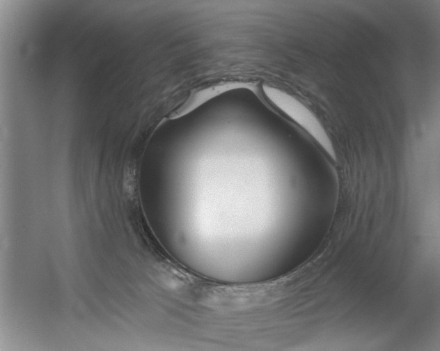 X0000054420033200508192109