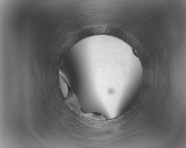 X0000054420035200508192109