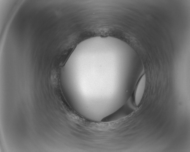 X0000054420037200508192109