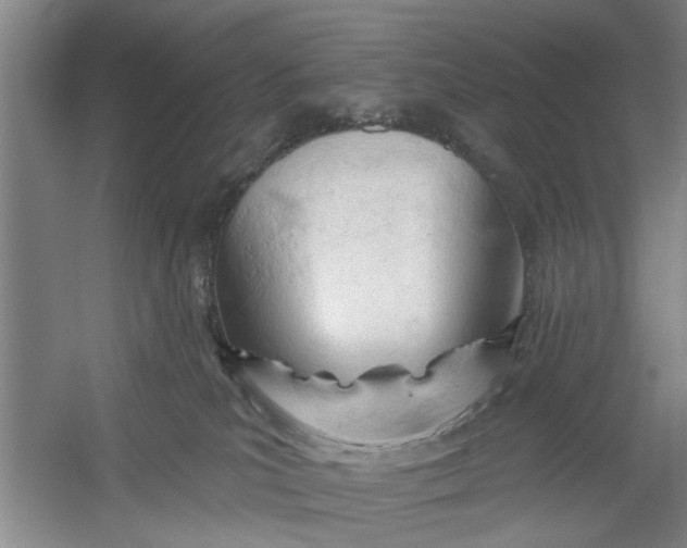 X0000054420039200508192109