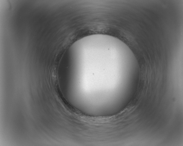 X0000054420040200508192109