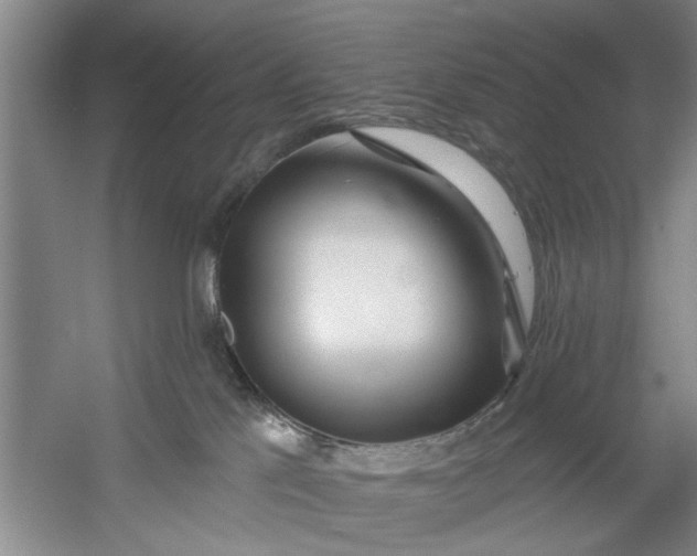 X0000054420041200508192109