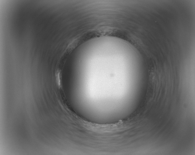 X0000054420042200508192109