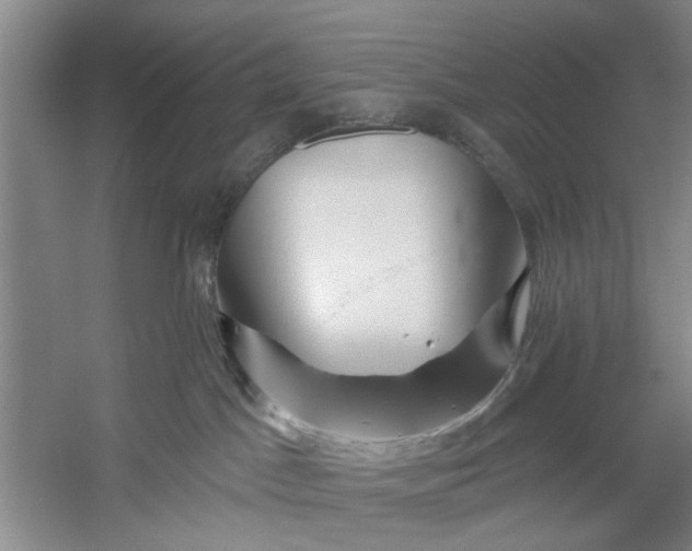 X0000054420045200508192109