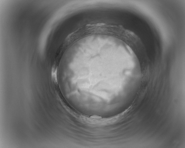 X0000054420047200508192109