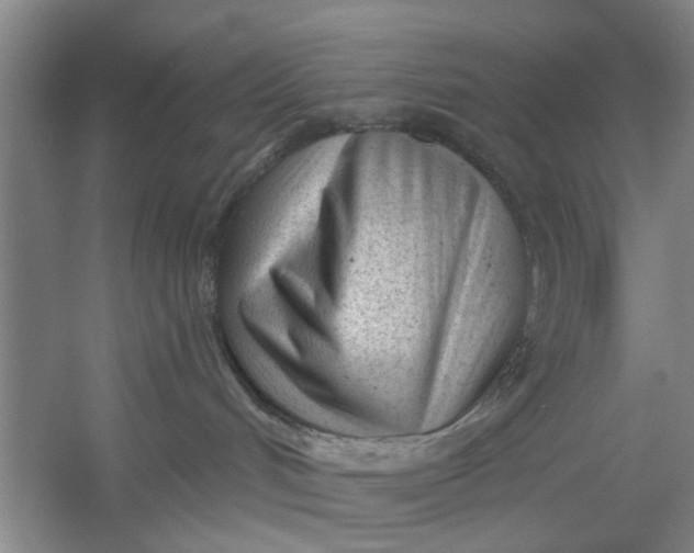 X0000054420048200508192109