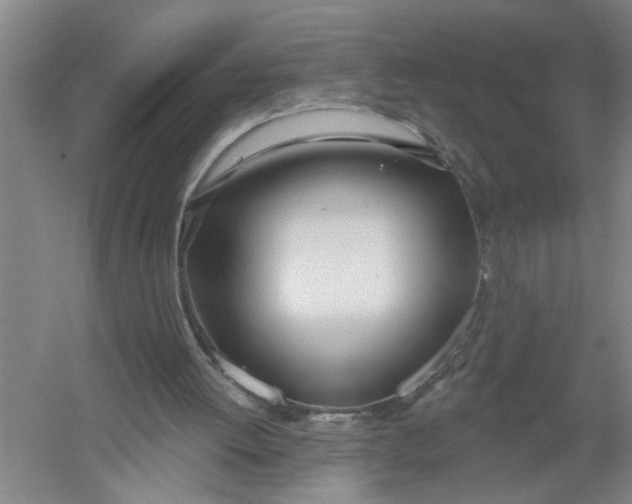 X0000054420052200508192108