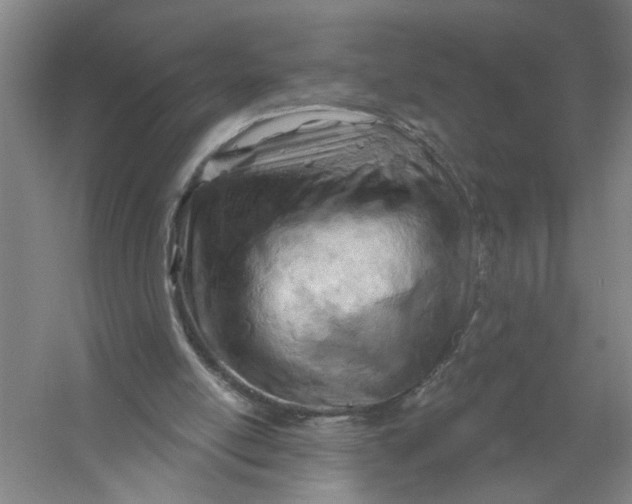 X0000054420054200508192108