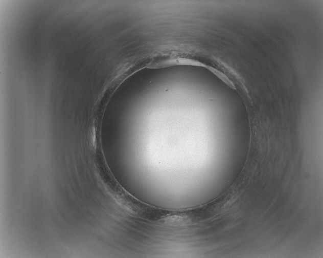 X0000054420067200508192108