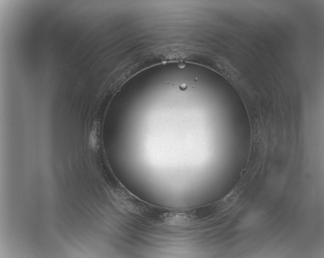 X0000054420074200508192108