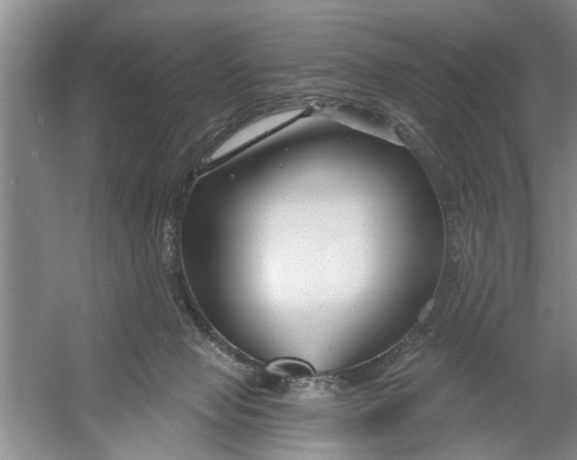 X0000054420077200508192108