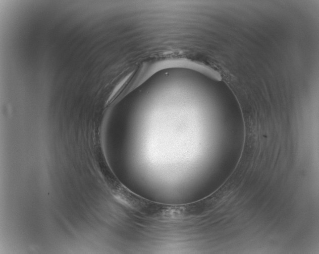 X0000054420080200508192108